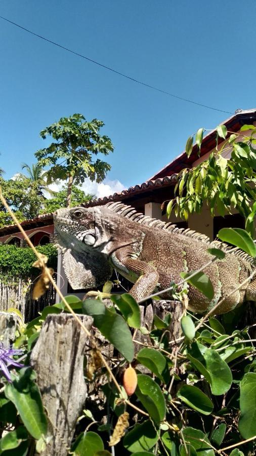 Pousada Eolos Barra Grande  Eksteriør bilde